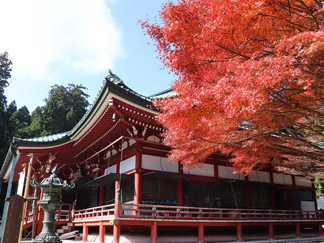 比叡山延暦寺東塔大講堂と紅葉