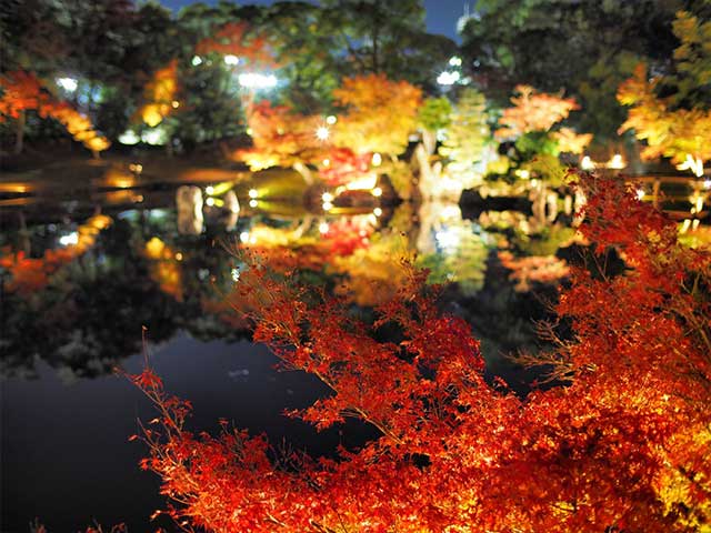 紅葉の玄宮園