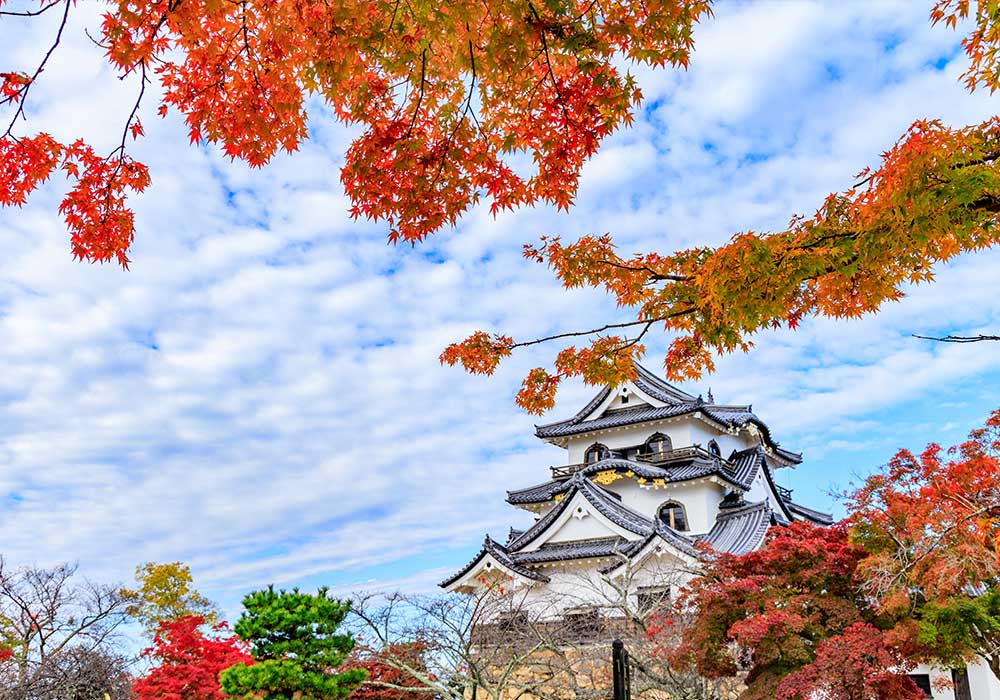 彦根城の紅葉
