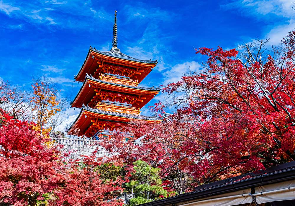 京都の観光情報「清水寺の秋の風景」