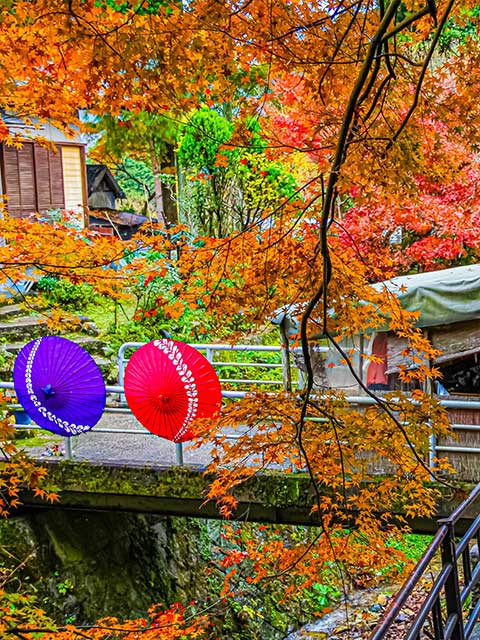 京都大原三千院