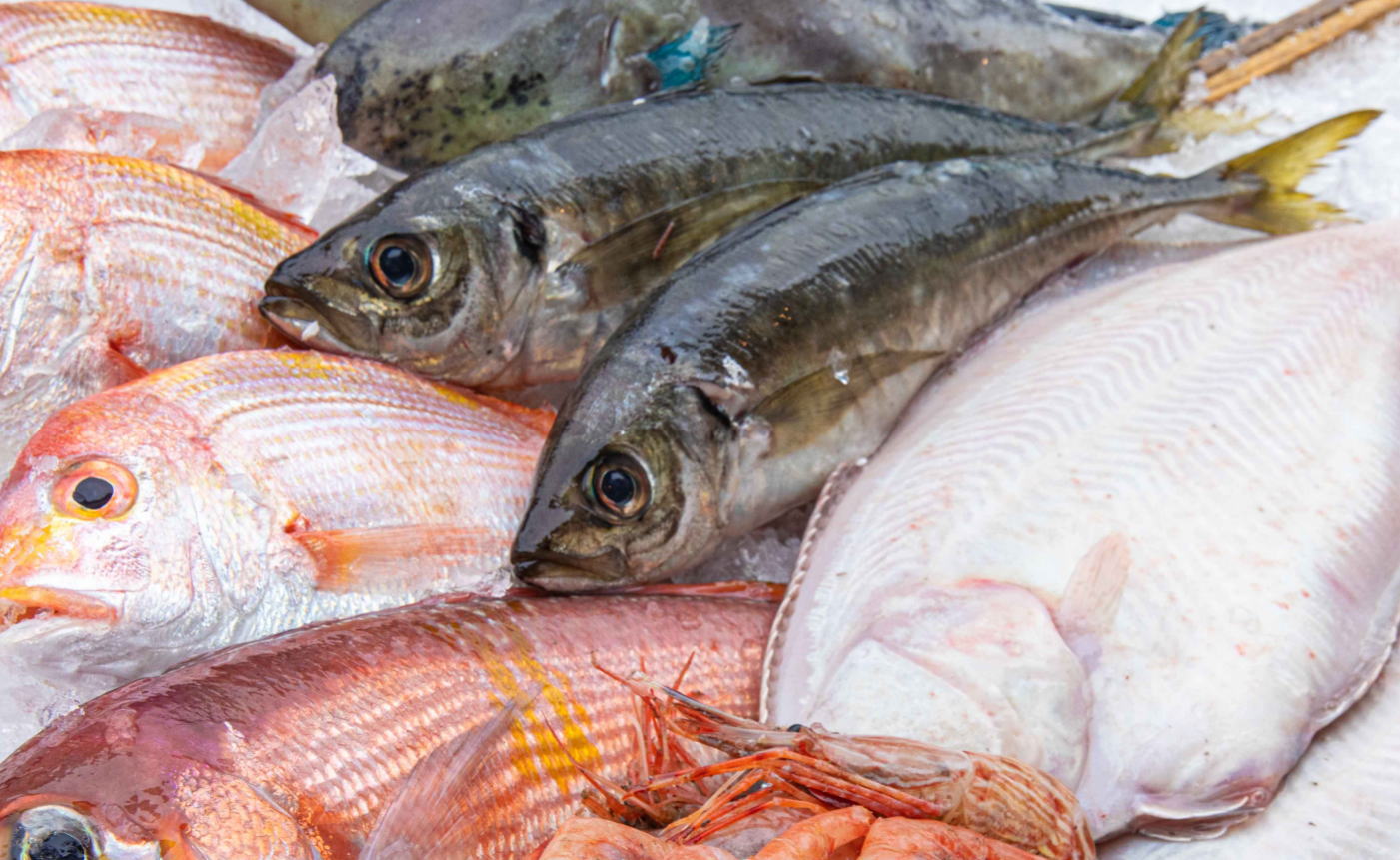 市場で選び抜いた鮮魚の他にも若狭から届く旬の魚を使用しています。