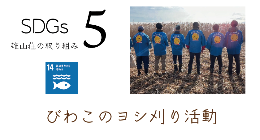 雄山荘SDGｓの取り組みその５　琵琶湖のヨシ刈り活動